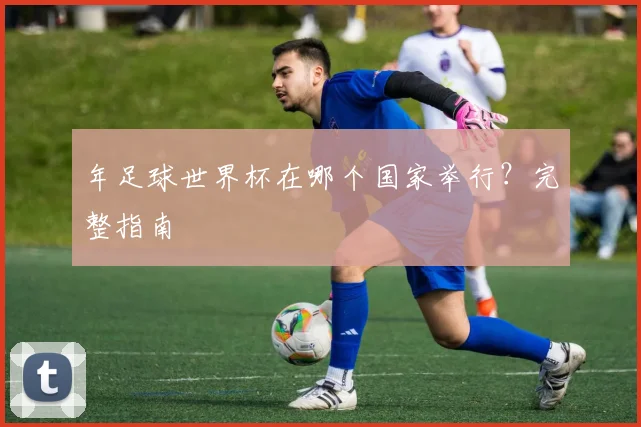 年足球世界杯在哪个国家举行？完整指南