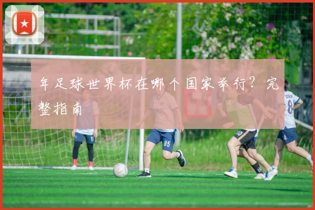 年足球世界杯在哪个国家举行？完整指南