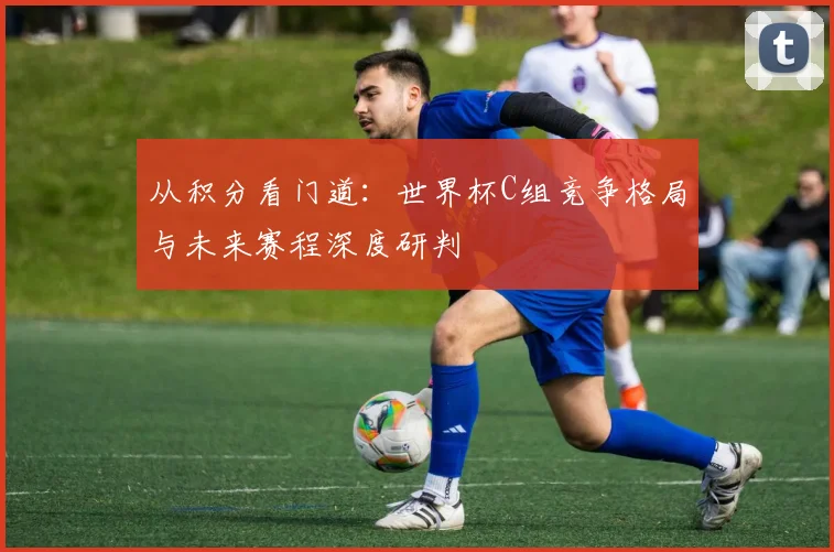 从积分看门道：世界杯C组竞争格局与未来赛程深度研判