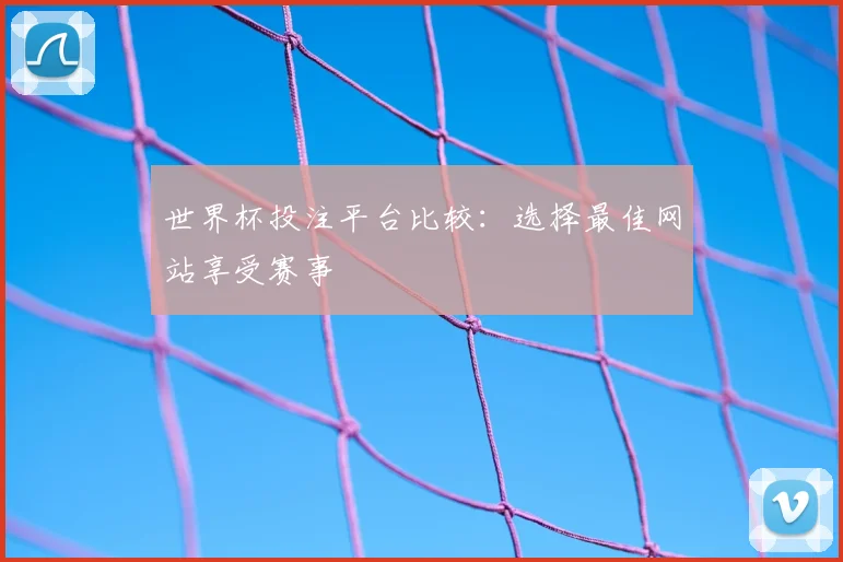 世界杯投注平台比较：选择最佳网站享受赛事