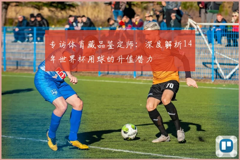 专访体育藏品鉴定师：深度解析14年世界杯用球的升值潜力