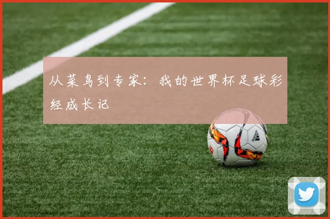 从菜鸟到专家：我的世界杯足球彩经成长记